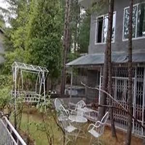 Pinetree Resort Nathiagali Nathia Gali Εξωτερικό φωτογραφία